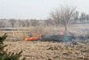 2009 - Grass Fire - 9